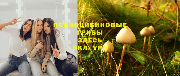 молекула духа Верхний Тагил